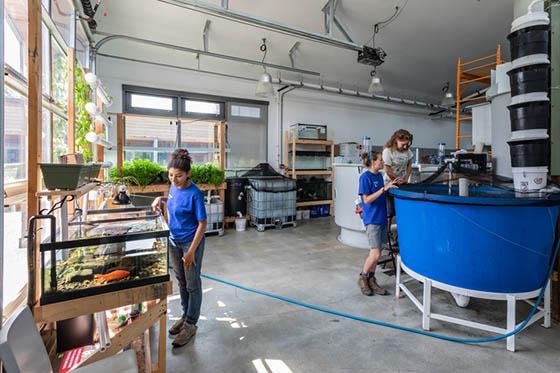 Photo of three Chatham University students working in an 伊甸堂校园 lab