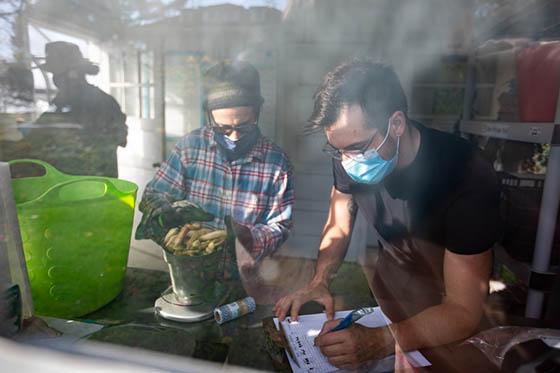 Photo of two masked Chatham University students measuring 食物 from the 伊甸堂校园 agroecology demo garden