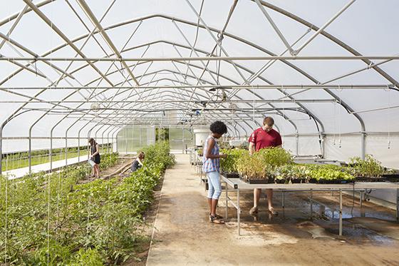 Photo of Chatham University students working at raised garden beds in a greenhouse at Eden Hall Farm. 