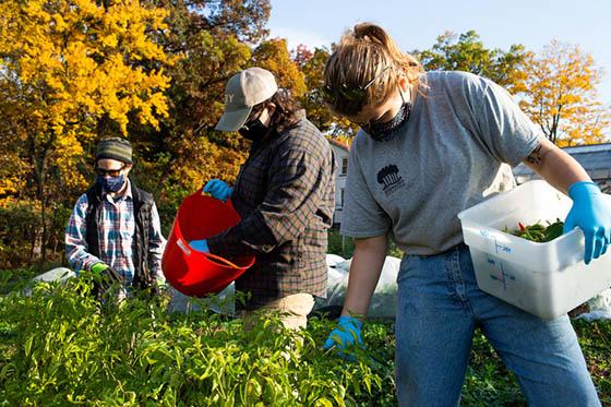 Photo of three masked Chatham University students working in the agroecology garden on 伊甸堂校园